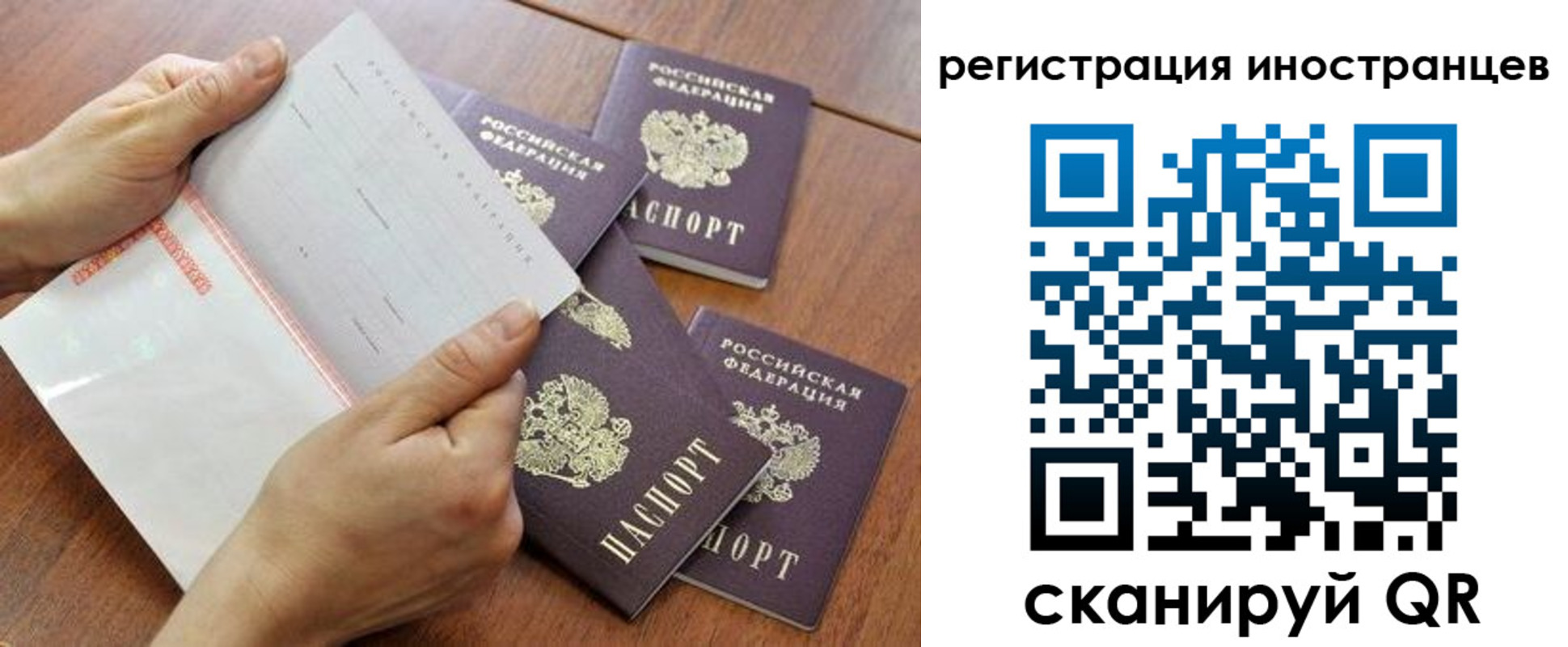 прописка поиск в Новоалександровске